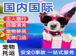 徐州航空空运国际宠物托运 【国